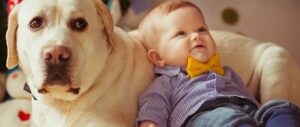 How to prepare your pet for a new baby coming into the family